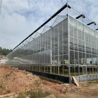 智能温室大棚工程 玻璃智能大棚专业设备