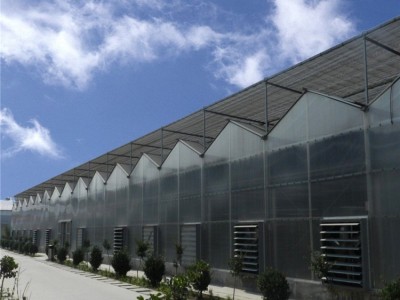 阳光板温室工程配件 阳光板大棚专业建造