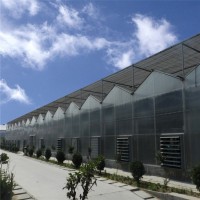 阳光板温室工程配件 阳光板大棚专业建造