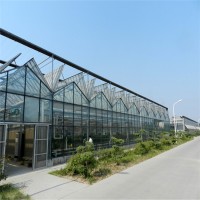玻璃温室大棚专业工程 玻璃大棚工程造价