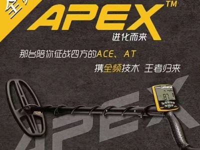 新款美国盖瑞特进口金属地下探测仪ACEApex