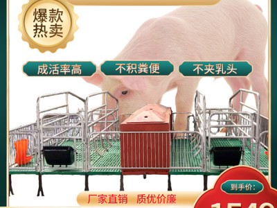 猪场用母猪产床上有什么技巧