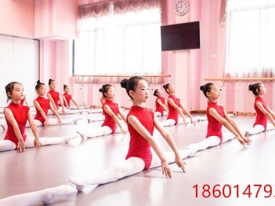 苏州观前少儿书法班石路儿童舞蹈艺术班吴中绘画培训班相城演讲班图3