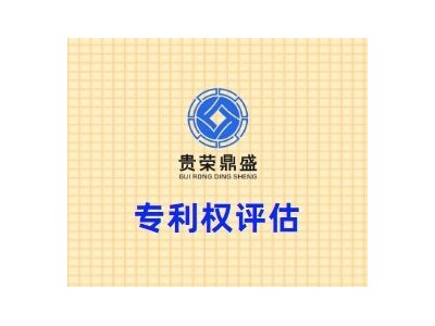 四川省成都市高新西区专利权评估贵荣鼎盛评估