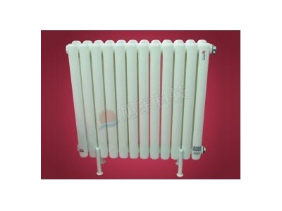 dwgz206钢二柱散热器-钢二柱暖气片-钢制柱型散热器