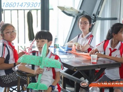 苏州暑假青少年夏令营小小飞行员三六六教育社会实践课活动报名中图3