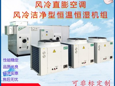 風冷式潔凈型恒溫恒濕空調機組風冷直膨空調凈化空調風冷熱泵機組