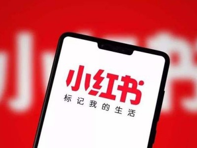 小红书推广策略有哪些 红书营销方案上海氖天