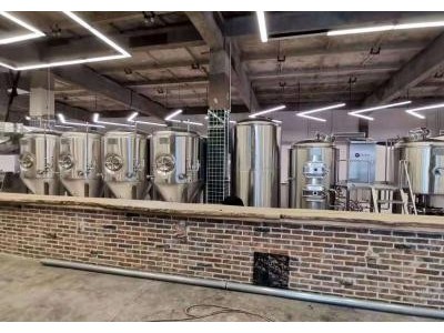 齐齐哈尔小型精酿原浆啤酒生产设备1000升啤酒发酵罐