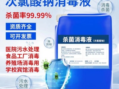 广州志诚环保次氯酸钠生产厂家污水处理工业级10%