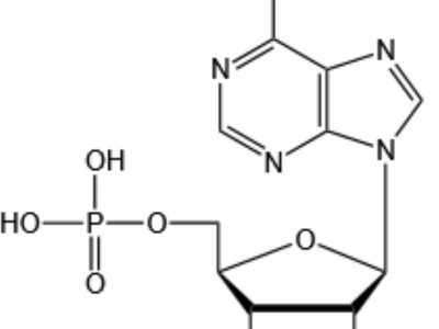 5’-腺苷酸（AMP-H）-杭州美亚药业-61-19-8