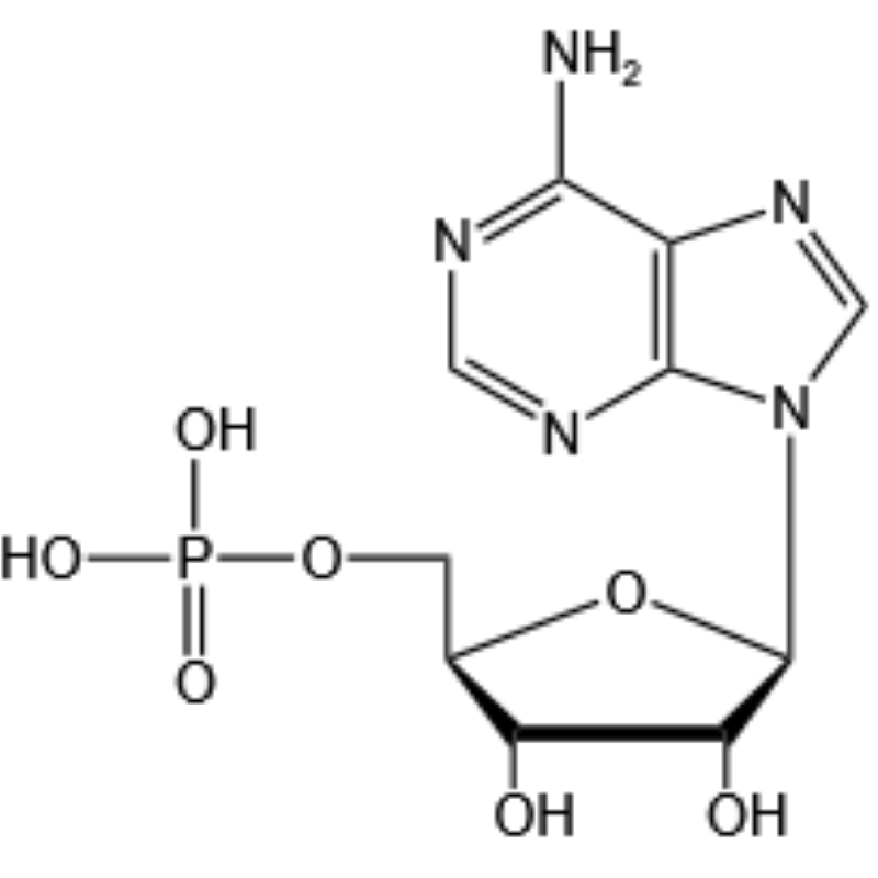 5’-腺苷酸（AMP-H）-杭州美亚药业-61-19-8
