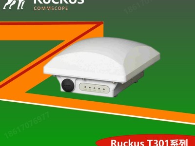 美国Ruckus T301室外AP优科T301室外定向AP