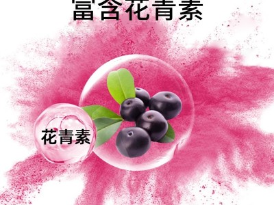 胶原蛋白肽巴西莓饮贴牌定制图2