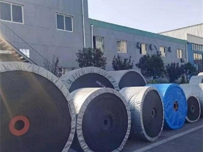 炜泰帆布橡胶输送带 物料提升带 挂斗提升带图2