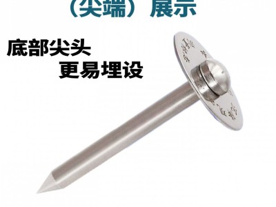 沉降观测点不锈钢测量控制点标志GPS水准点预埋件测绘十字测钉图2