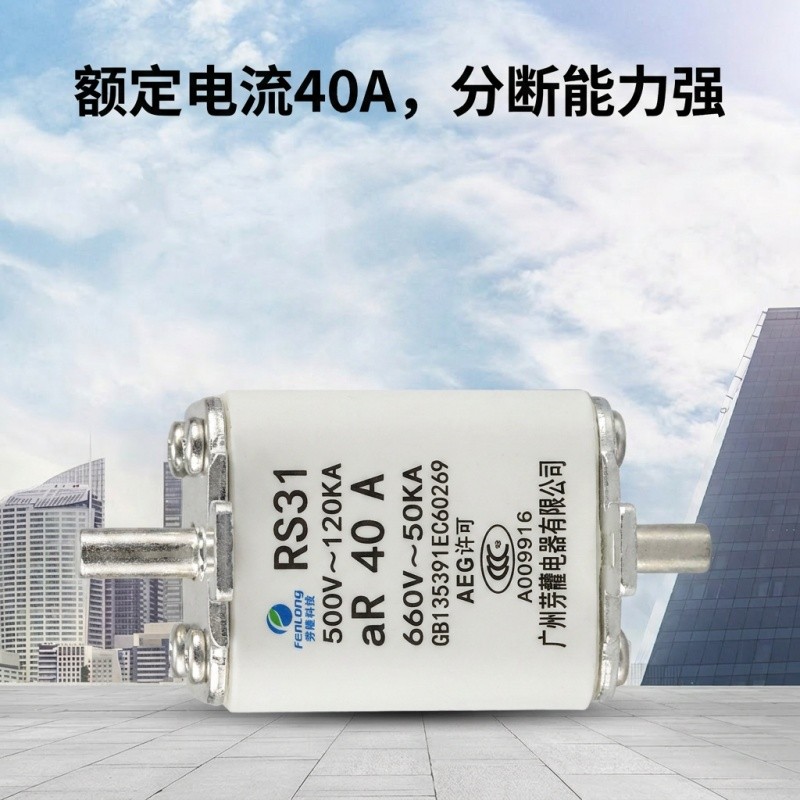 芬隆RS74快速熔断器-源头工厂全国快速定制图1