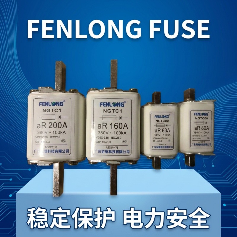 芬隆RS74快速熔断器-源头工厂全国快速定制图4