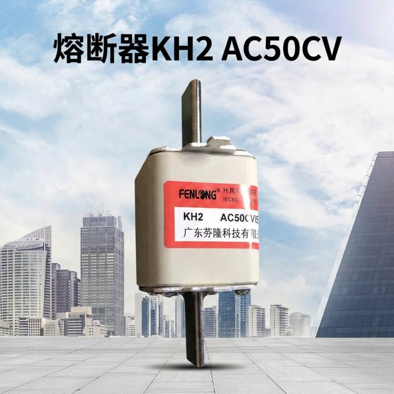 芬隆RS74快速熔断器-源头工厂全国快速定制图6