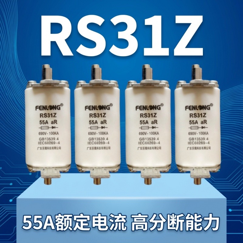 芬隆RGS30C快速熔断器-源头工厂全国快速定制图4