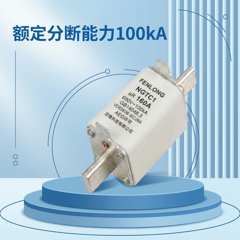 芬隆RS31-500V/160A快速熔断器-源头工厂全国快速定制图4