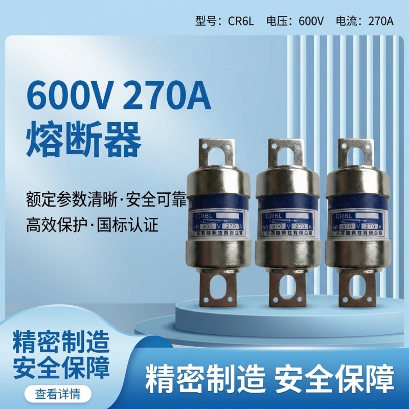 芬隆RGS11-250V/80A快速熔断器-源头工厂全国快速定制图4