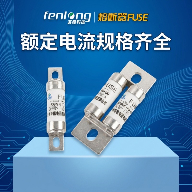 芬隆RGS11-250V/80A快速熔断器-源头工厂全国快速定制图3
